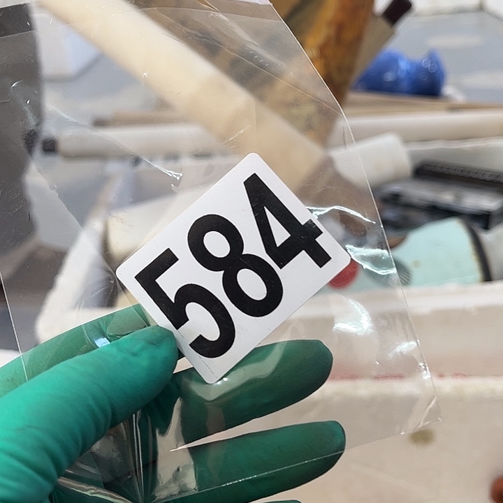 行***）52566666699999999987