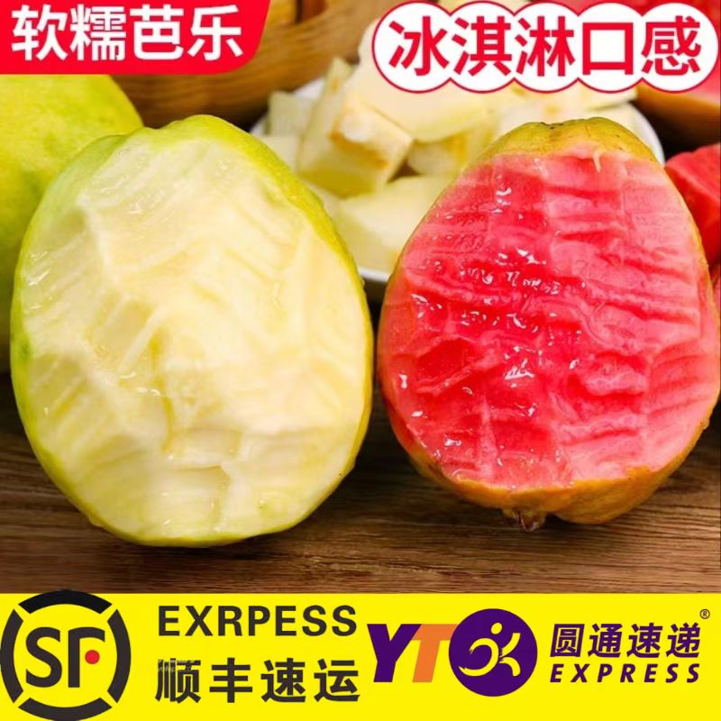 【顺丰/圆通】草莓奶油软芭乐新鲜树上熟当 季水果番石榴源产地现发