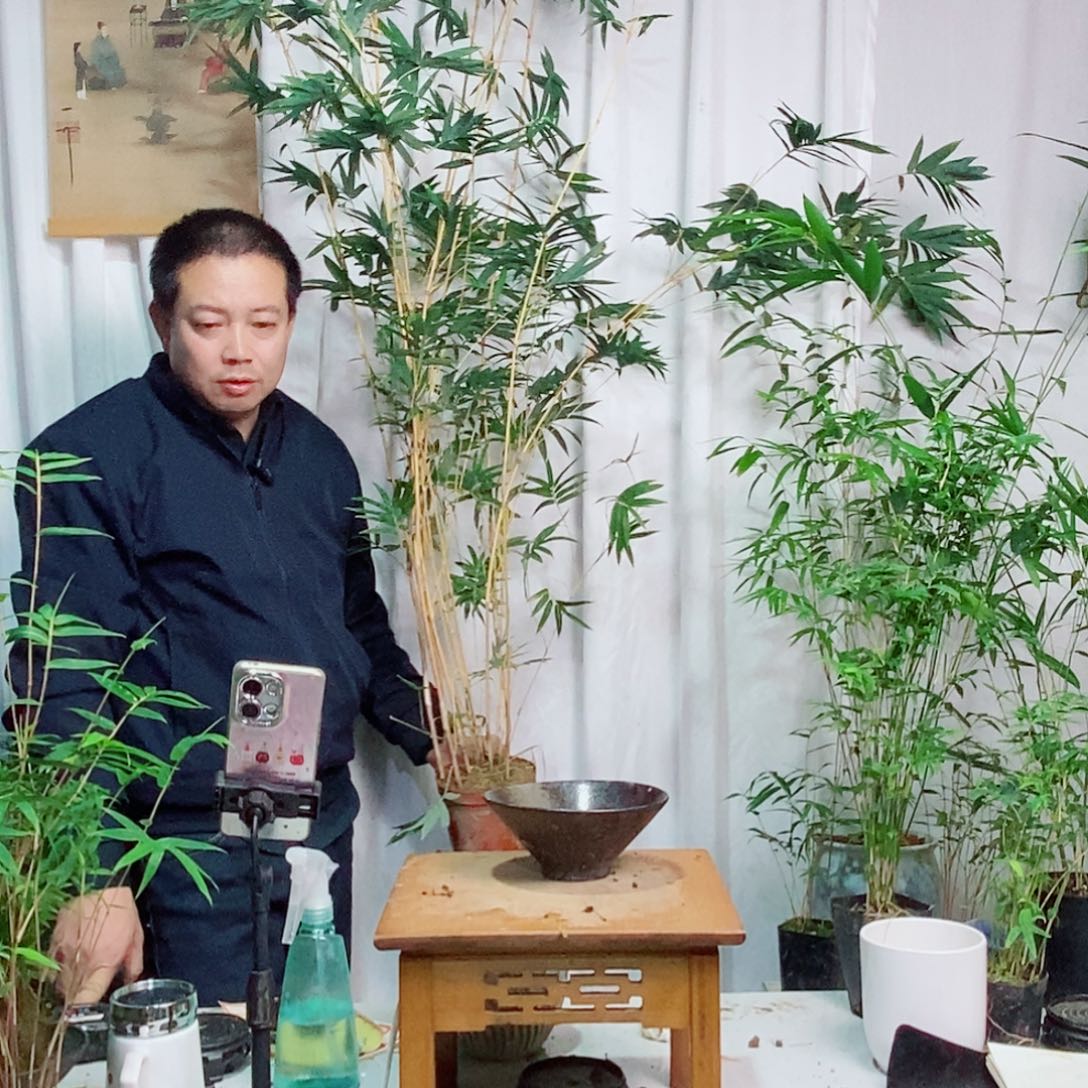 完全开放11111111111