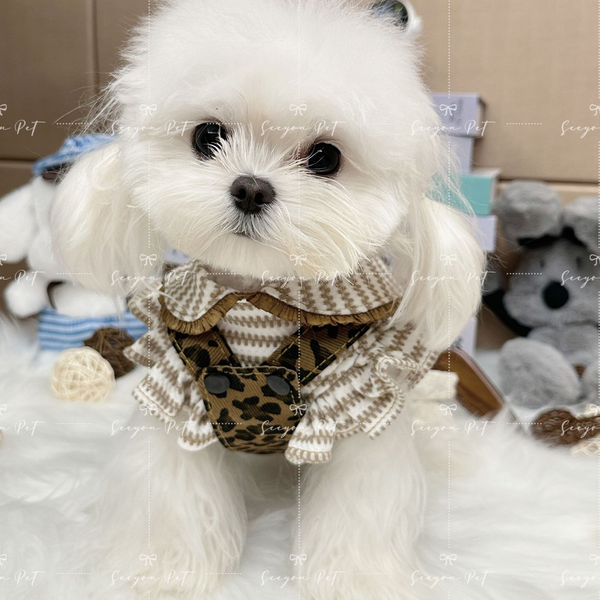 美拉德格纹宠物秋冬加绒两件套泰迪比熊马尔济斯小型犬新款服装