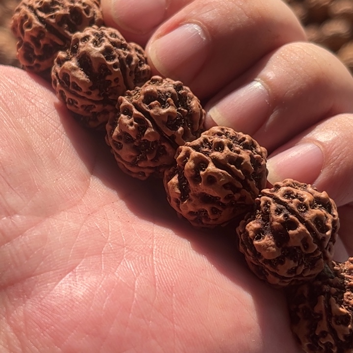 七***_金刚菩提手串安娜粗筋梅花双龙原生态