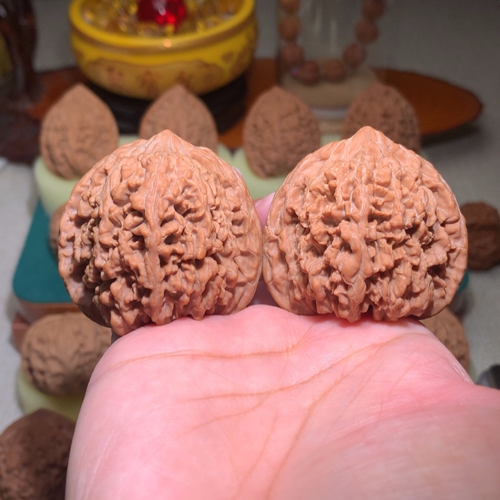 文玩核桃把件满天星