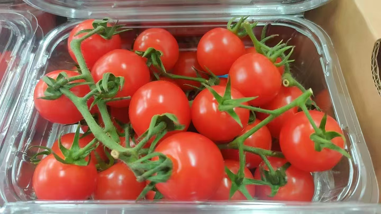 【优果汇】串枝樱桃番茄1盒500g武汉小时达