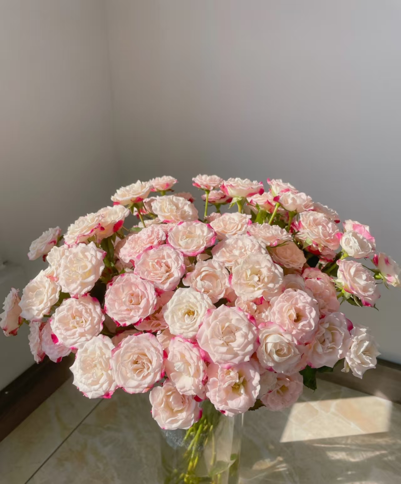 【折射多头玫瑰10枝】2单升级顺丰冷链/德邦空运