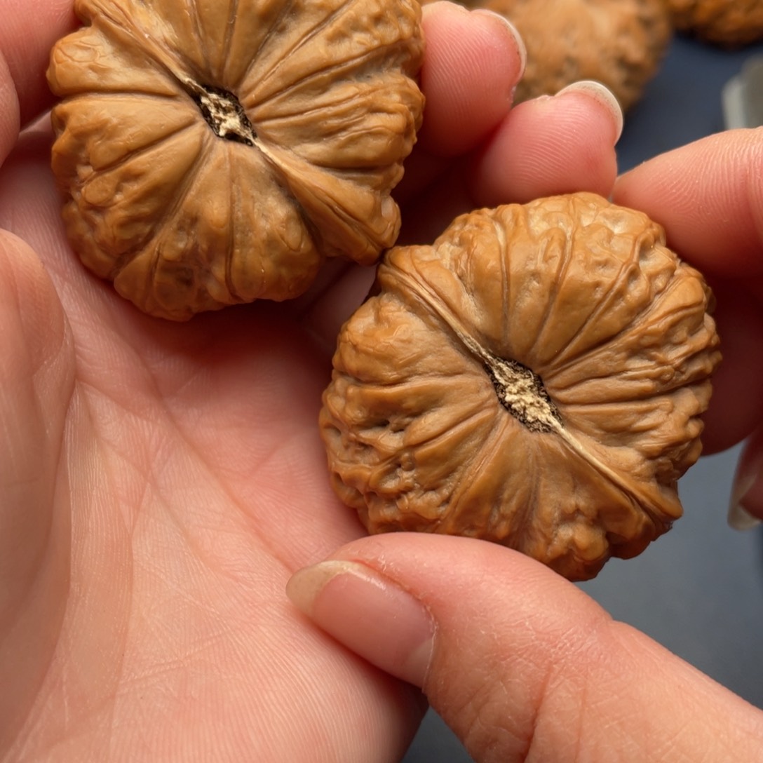 文玩核桃把件南瓜41