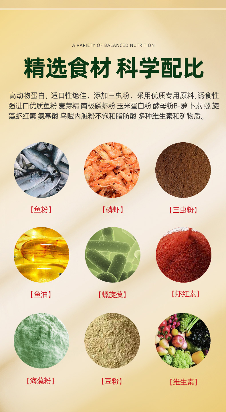 乌龟专用粮上浮型1.0