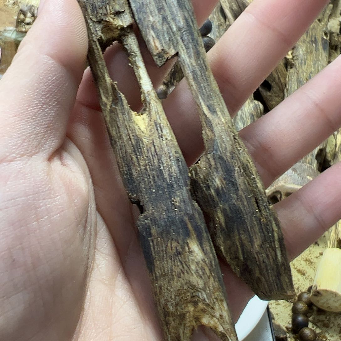 木绿奇楠虫漏11克