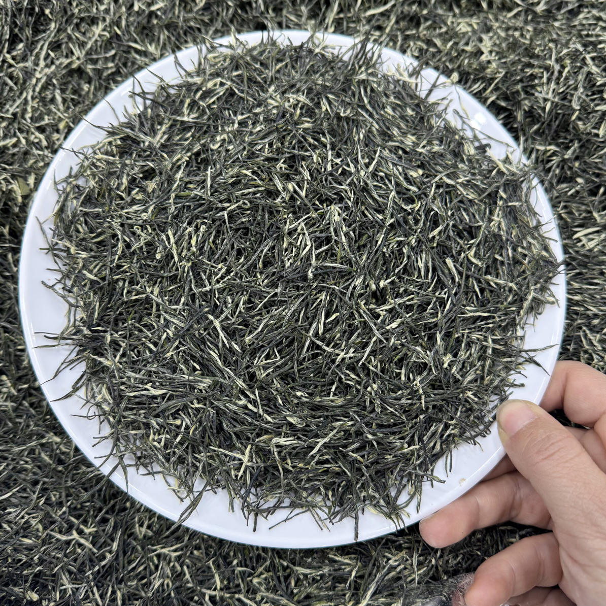 三峡雲翠阁2025年湖北宜昌芽毛尖75138