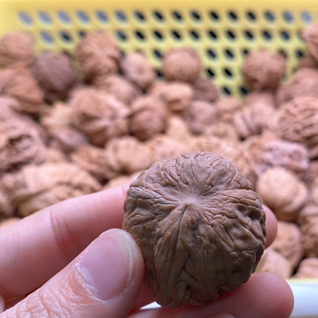 般***蜜核桃定制商品不退不换