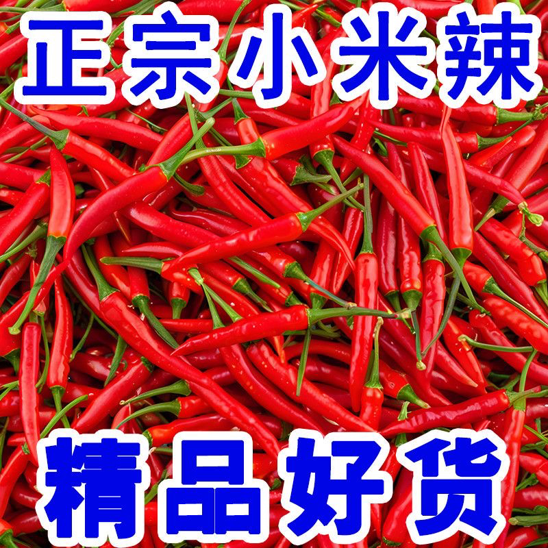 【新鲜小米辣椒】新鲜现摘魔鬼辣椒特辣红辣椒新鲜小米辣正宗小米椒
