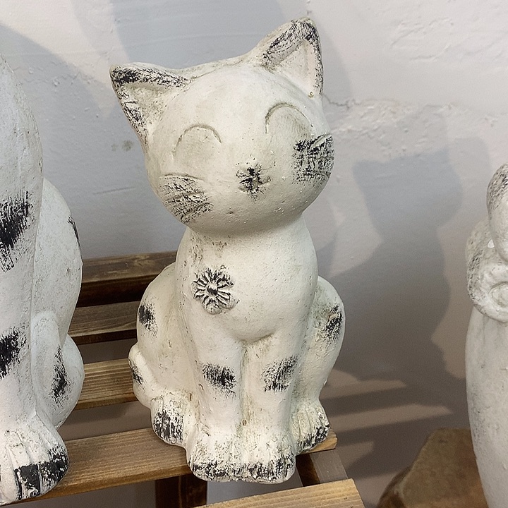 高21宽11，868699998888