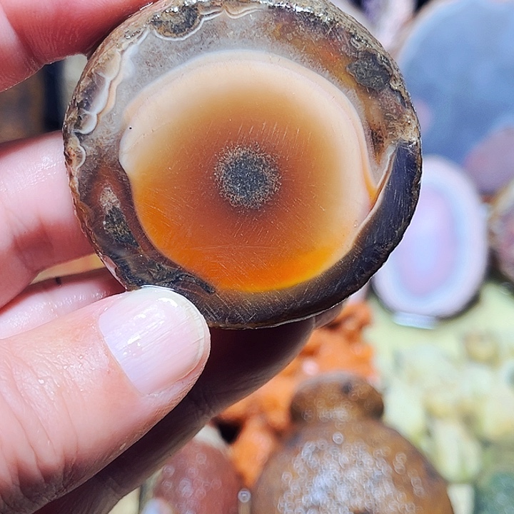 秀***驹玛瑙/玉髓未镶嵌珠宝奇石