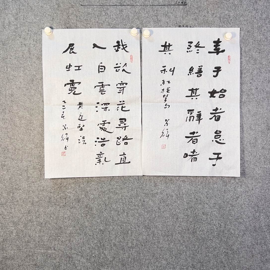 国画234 花鸟在此处飞翔也不