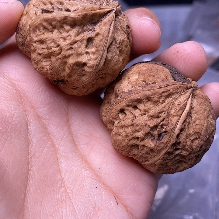 吊坠文玩核桃  131