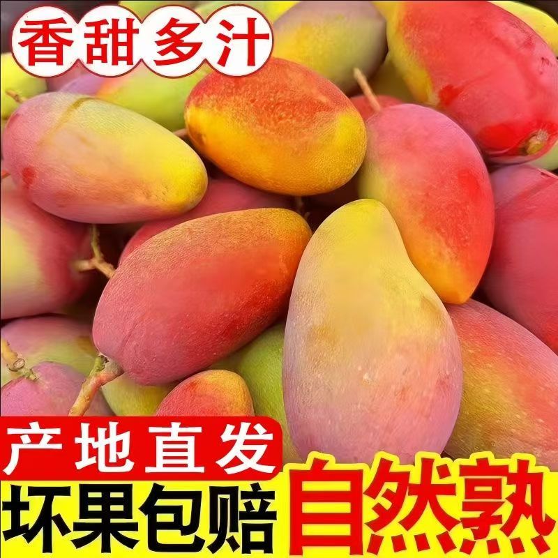 【买3斤送3斤】广西正宗产地贵妃芒果香甜多汁当季新鲜采摘水果