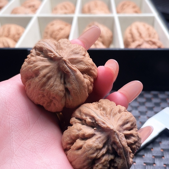 彬***哥霸王龙核桃尺寸42