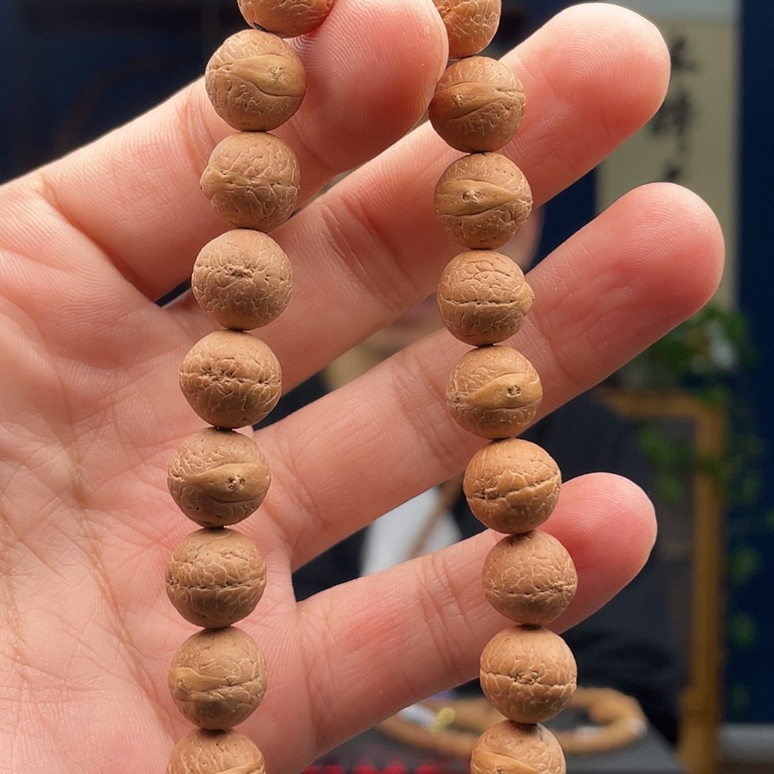 凤眼菩提吊坠.菩提8