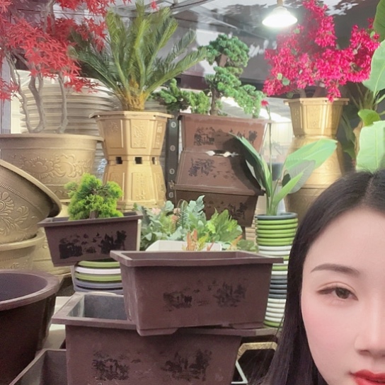 复合盆景40盆4个有孔