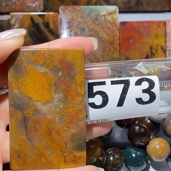 硅化玉未镶嵌天然北票树化玉吊坠