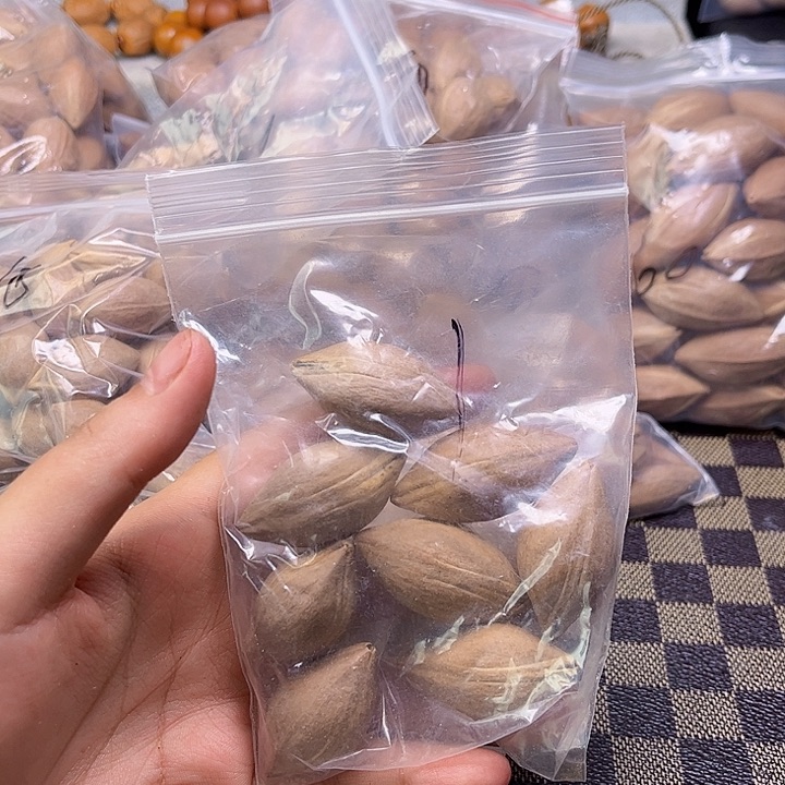 手串/手链橄榄核