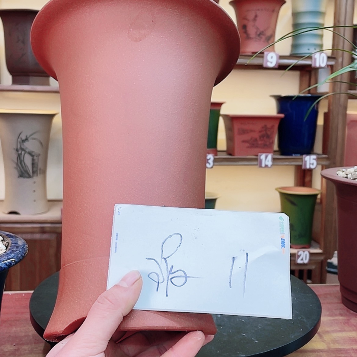 【闪购商品】紫砂花盆兰花75588777777588777