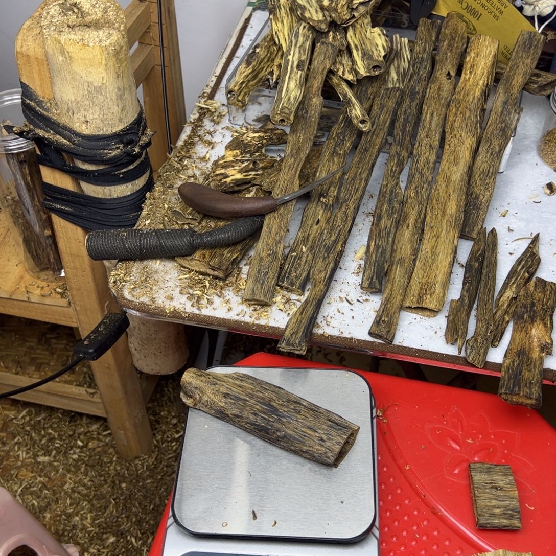 线香奇楠虫漏香49克