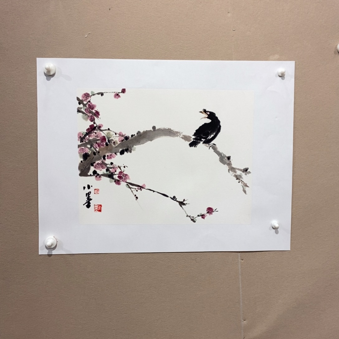 【闪购商品】国画9*8墨鱼精品墨鱼精品