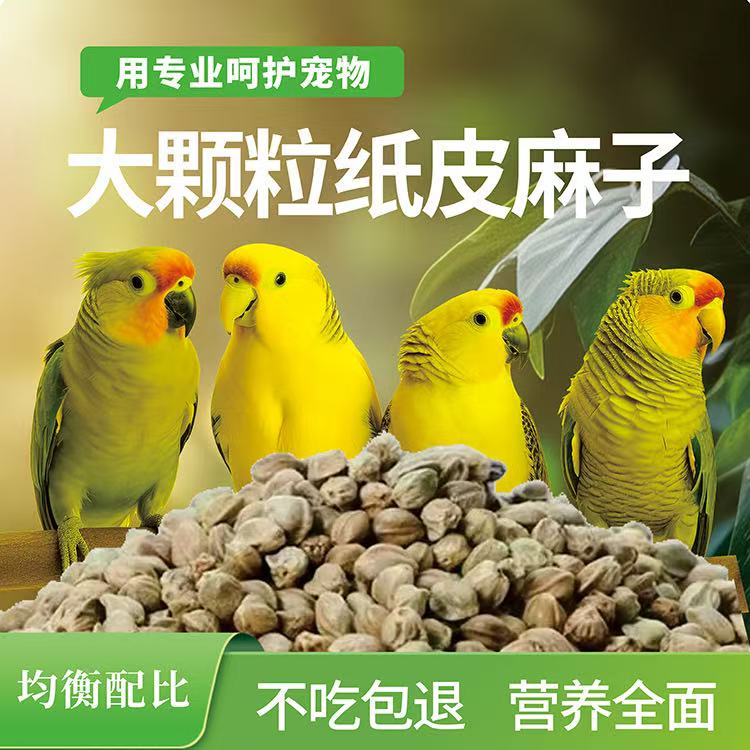 纸壳麻子鹦鹉粮和尚小太阳训练零食火麻子鸟粮饲料牡丹玄凤新麻籽