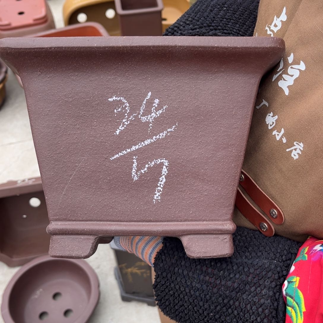 紫砂花盆盆景艺术