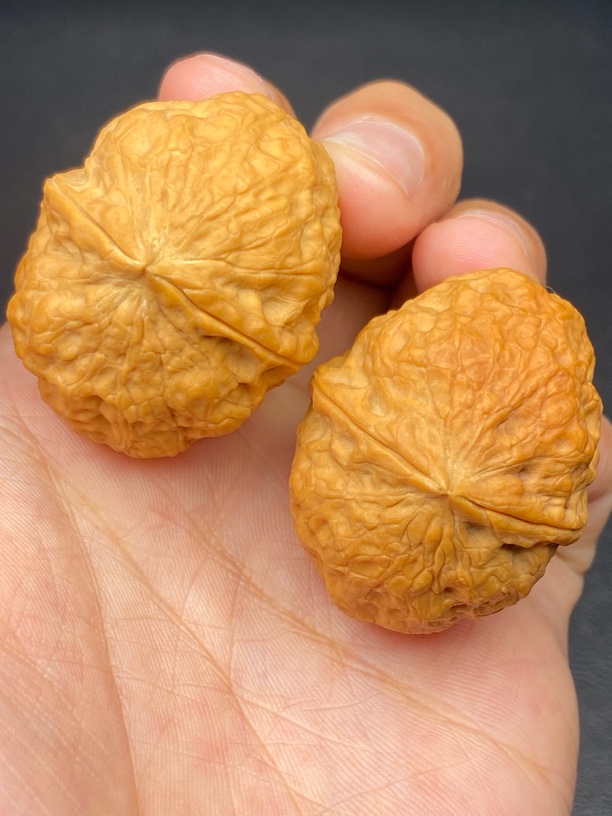 云南铁核桃 文玩核桃 蛇皮元宝 37尺发货图片同款精品一对