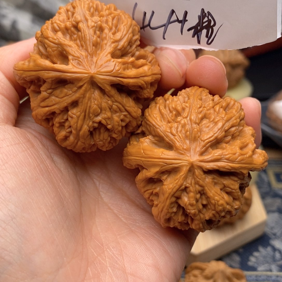 文玩核桃把件295号44粗筋