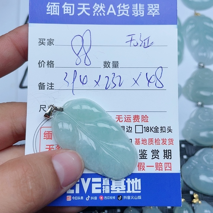 颈饰银S925镶嵌翡翠纯天然缅甸a货翡翠
