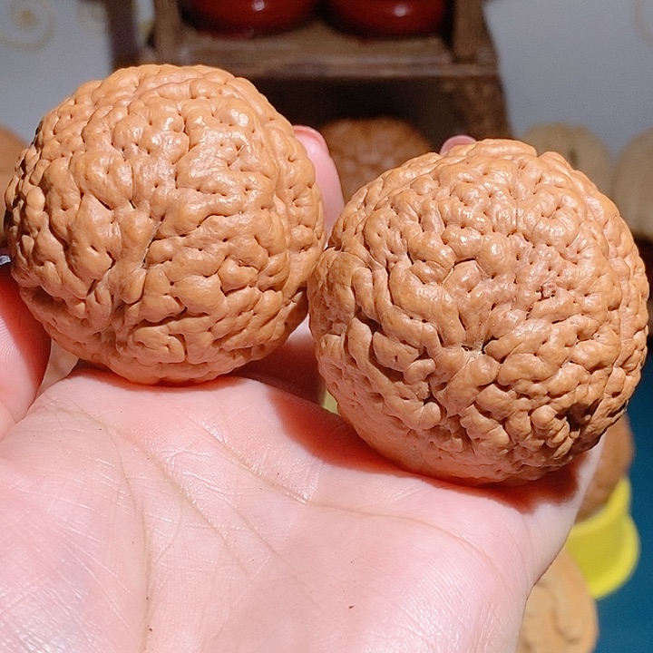 野生三瓣脑纹大金刚4850