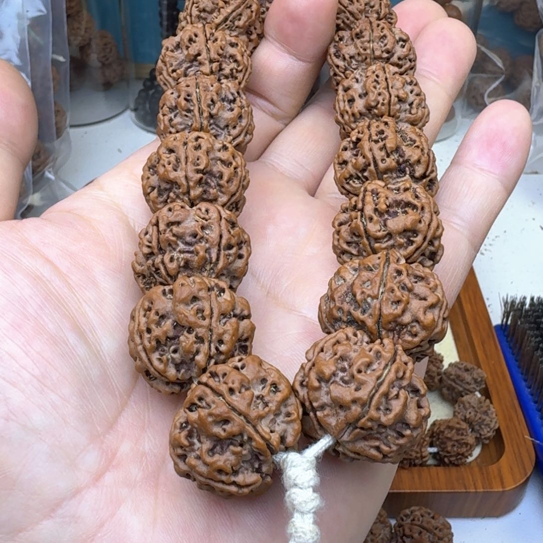 金刚菩提手串平头大粗筋