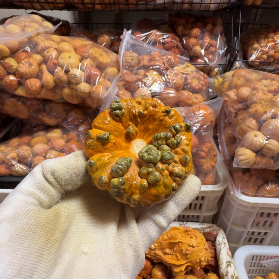 太***赵特价瑕疵葫芦不退不换