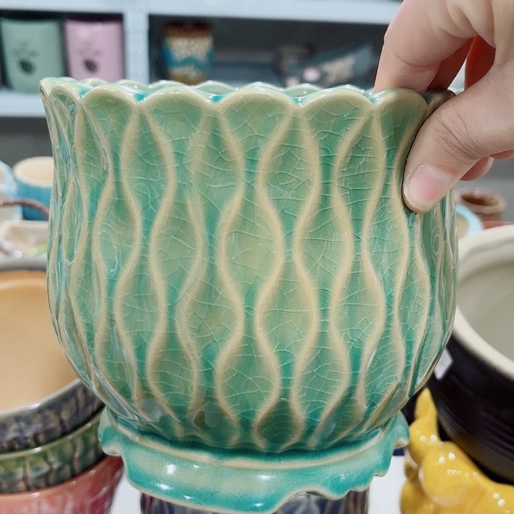 多肉花盆满10元包邮