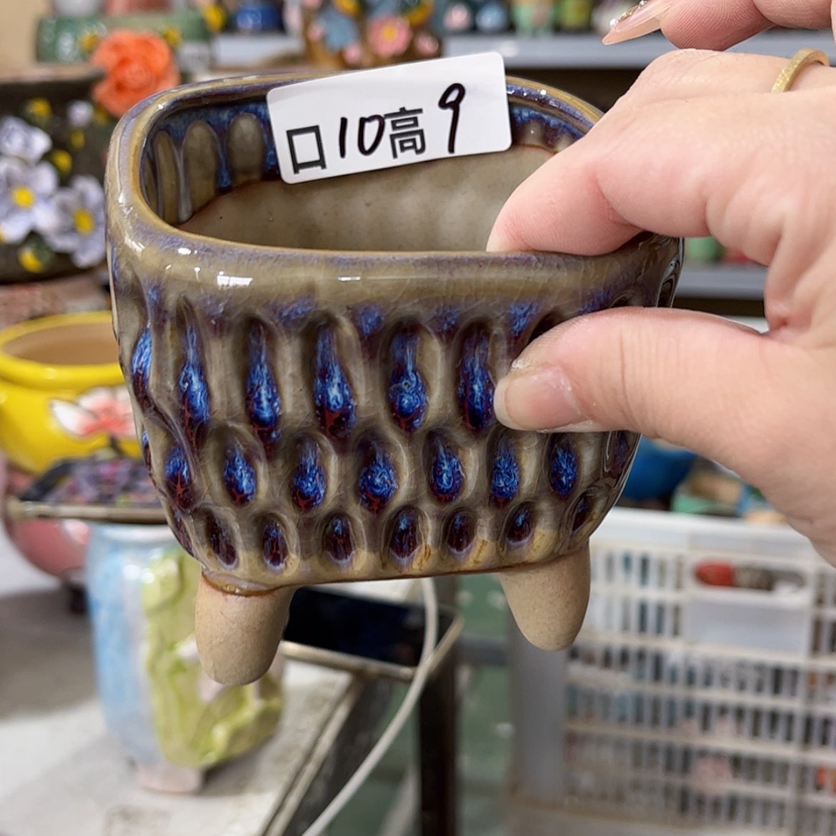 【闪购商品】红陶福利