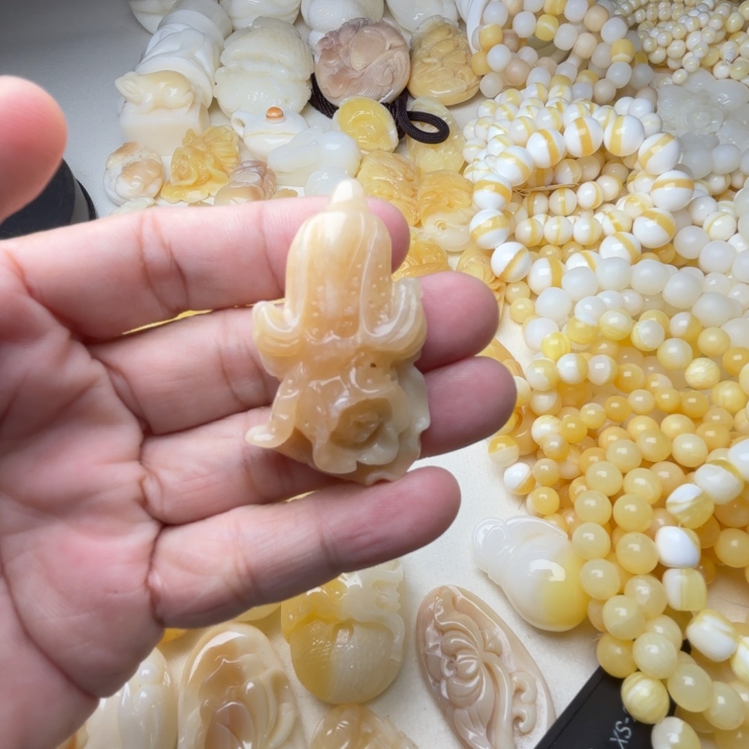 暖***色贝壳非金属天然贝壳