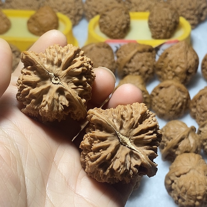 文玩核桃把件满天星42