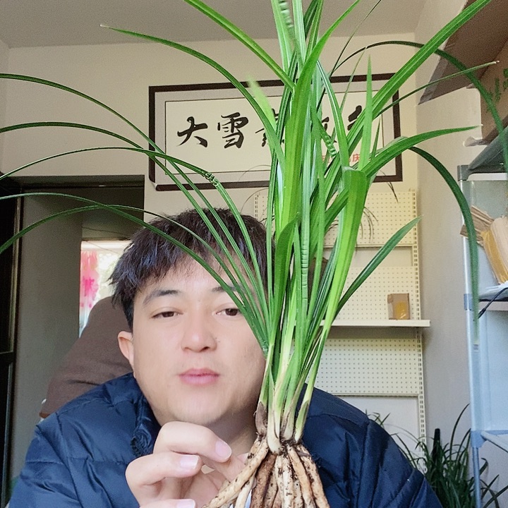 完全开放大雪素来也很疼头疼