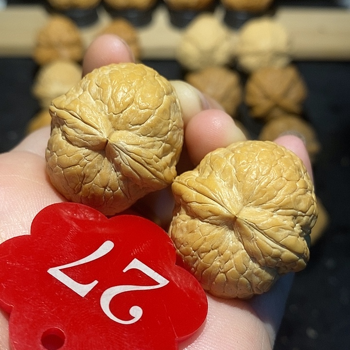 核桃大西瓜33尺寸核桃