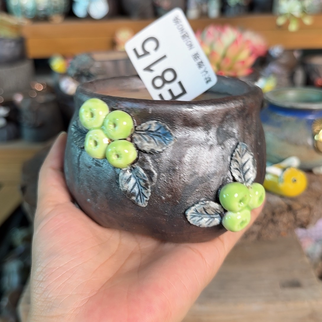 磊***妈重庆小燕子欢迎大家815