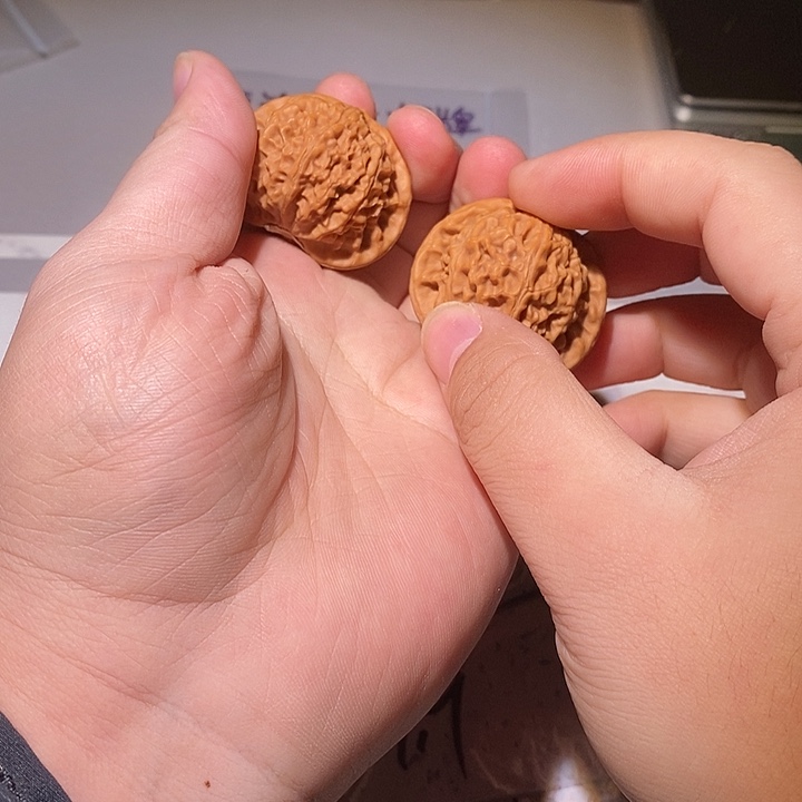 大叶紫檀（黑酸枝木类）