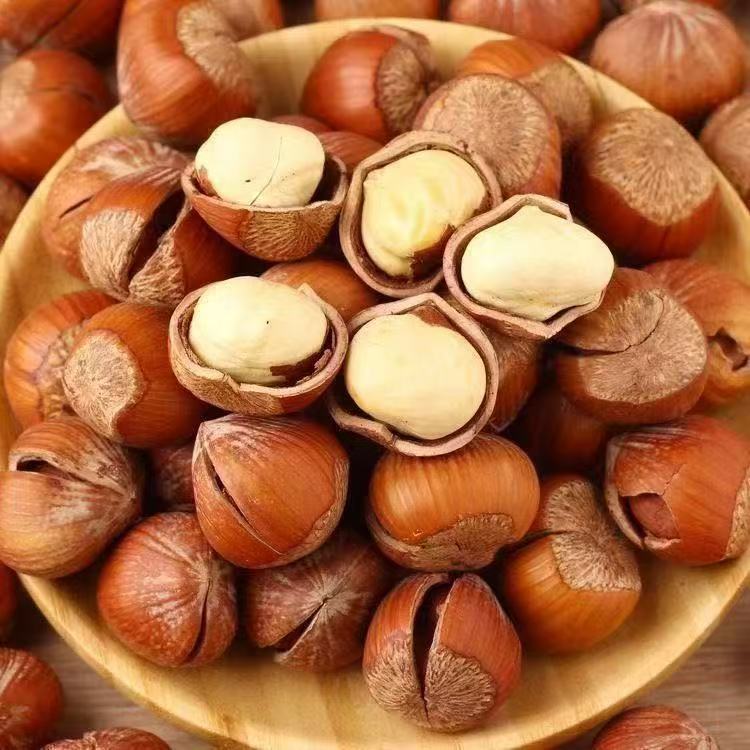 【到手一斤】东北辽宁铁岭开原手拍榛子口味香甜皮薄仁大LJX