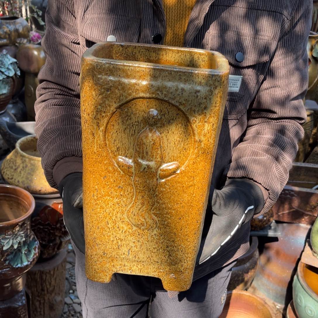 红陶高31口18无孔