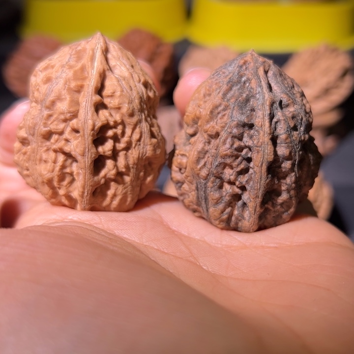 文玩核桃吊坠核桃37