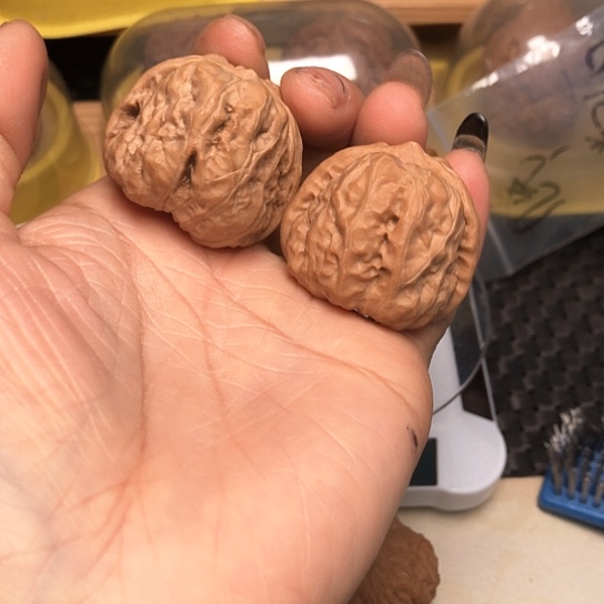 核桃文玩核桃37蛤蟆头