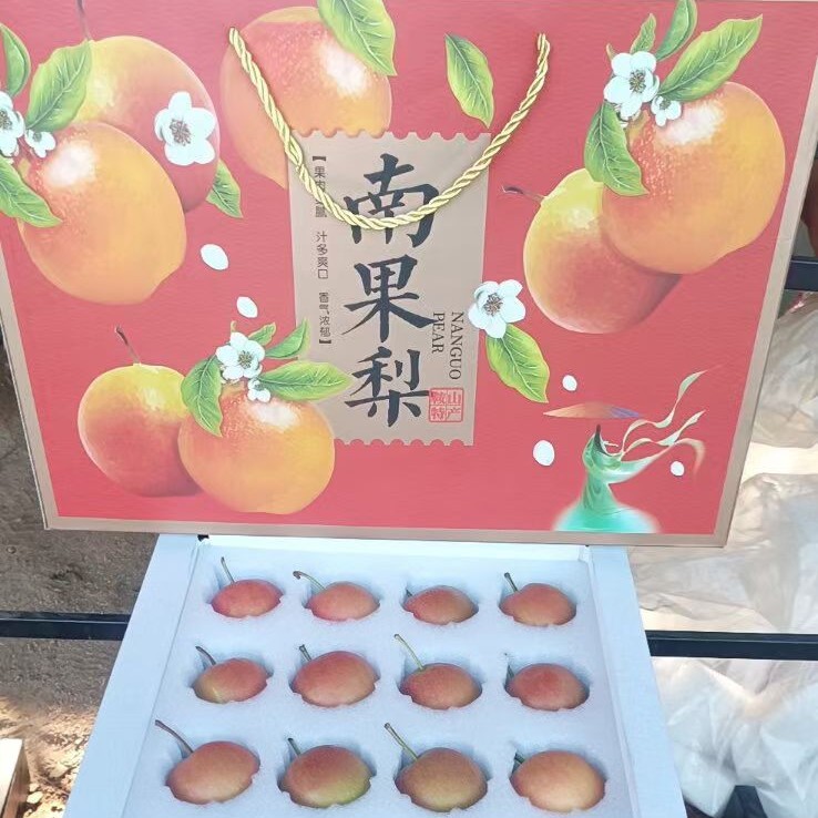 辽宁鞍山南果梨酸甜软糯东北特产口感应季水果当季薄皮正宗爽口