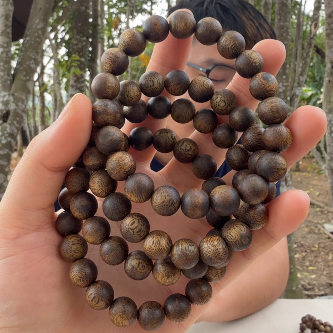 沉香沉香碎屑莺歌岭奇楠圆珠单圈10*8 多样性发一