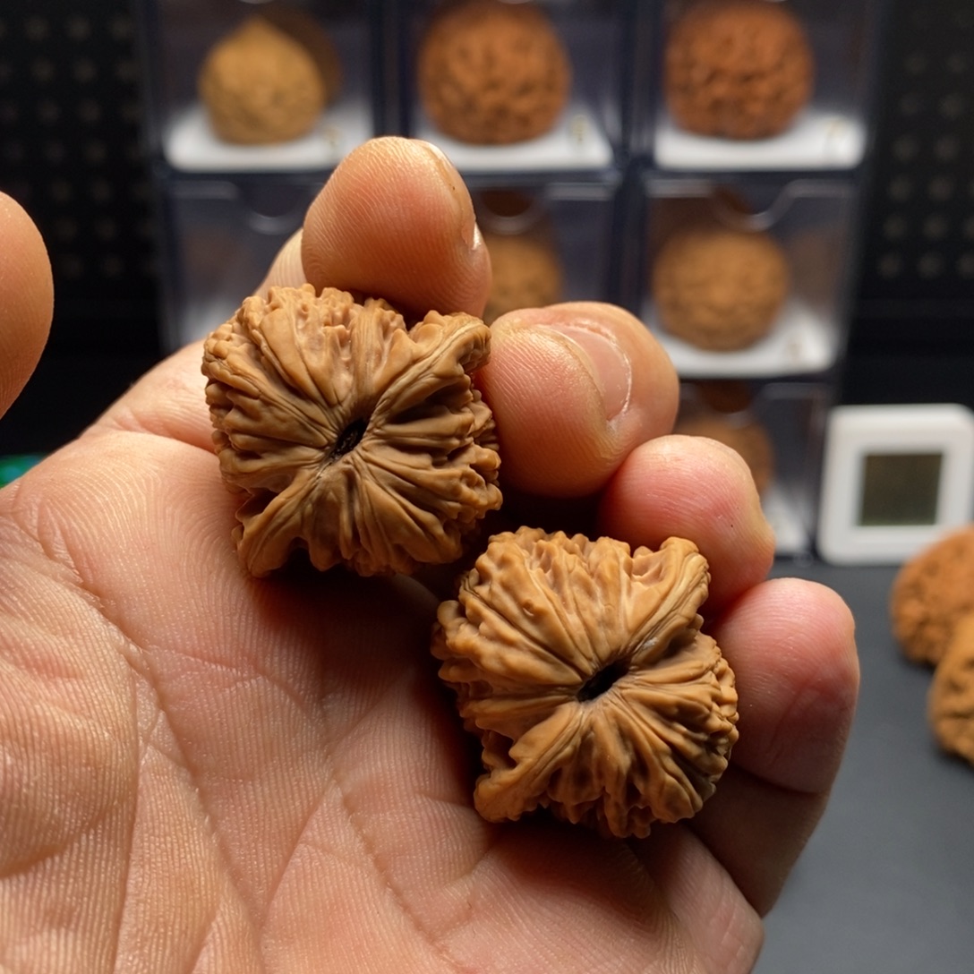 石***开楼福利手捻8888888888